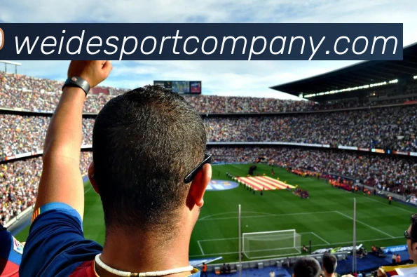 多媒体互动体验