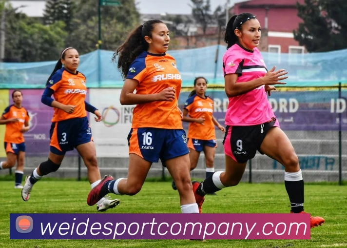 伟德体育APP 高清赛事图